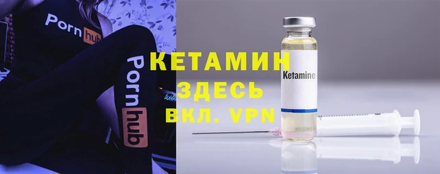 крисы Баксан