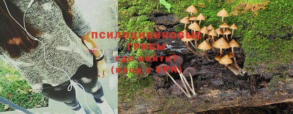 кокс Арсеньев