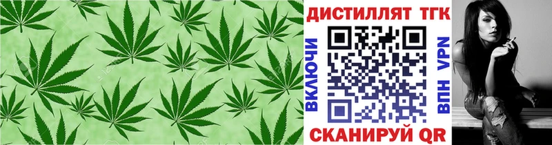 кракен зеркало  Знаменск  ТГК концентрат  сколько стоит 